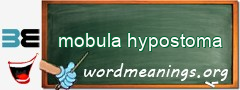 WordMeaning blackboard for mobula hypostoma